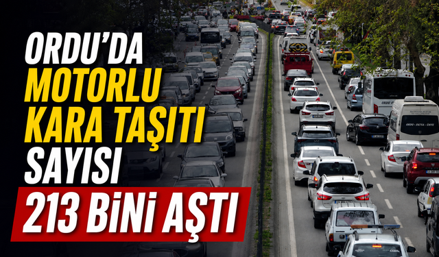 Ordu'da motorlu kara taşıtı sayısı 213 bini aştı