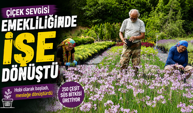 Çiçek sevgisi emekliliğinde işe dönüştü