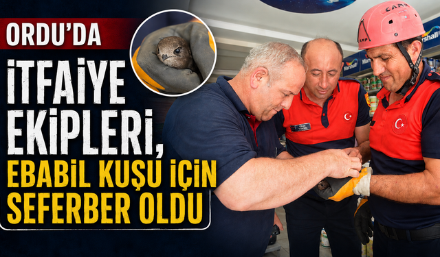 Ordu'da itfaiye ekipleri, ebabil kuşu için seferber oldu