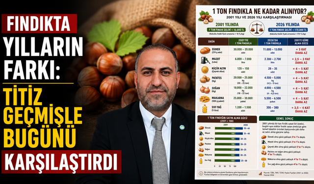Fındıkta yılların farkı: Titiz geçmişle bugünü karşılaştırdı