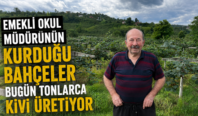 Emekli okul müdürünün kurduğu bahçeler bugün tonlarca kivi üretiyor
