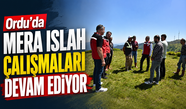 Ordu'da mera ıslah çalışmaları devam ediyor