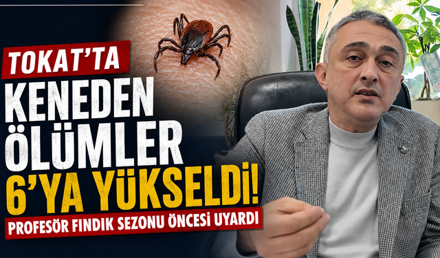 Tokat'ta keneden ölümler 6'ya yükseldi: Profesör fındık sezonu öncesi uyardı