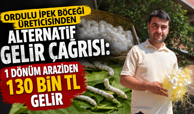 Ordulu ipek böceği üreticisinden alternatif gelir çağrısı: 1 dönüm araziden 130 bin lira gelir