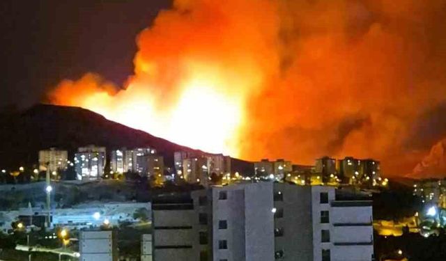 Ankara'da ağaçlık alanda yangın