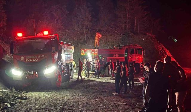 Ankara'da çıkan orman yangını kontrol altına alındı