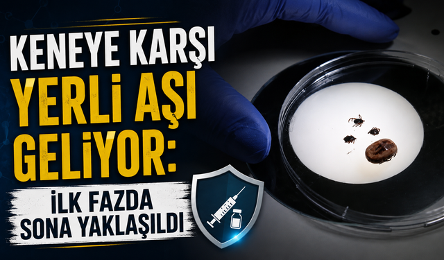 Keneye karşı yerli aşı geliyor: İlk fazda sona yaklaşıldı