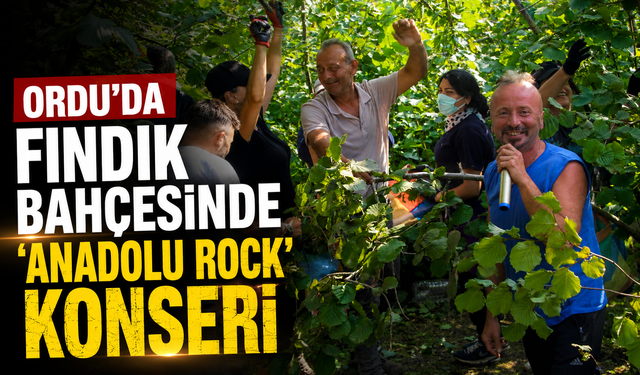 Ordu'da fındık bahçesinde 'Anadolu Rock' konseri