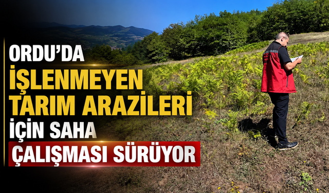 Ordu’da işlenmeyen tarım arazileri için saha çalışması sürüyor