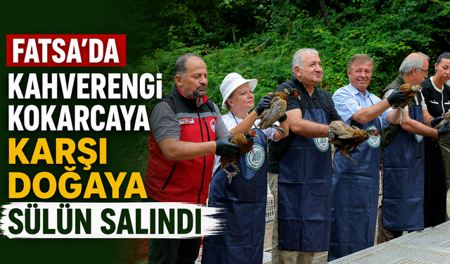 Fatsa’da kahverengi kokarcaya karşı doğaya sülün salındı