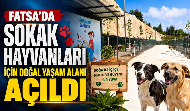 Fatsa’da sokak hayvanları için doğal yaşam alanı açıldı