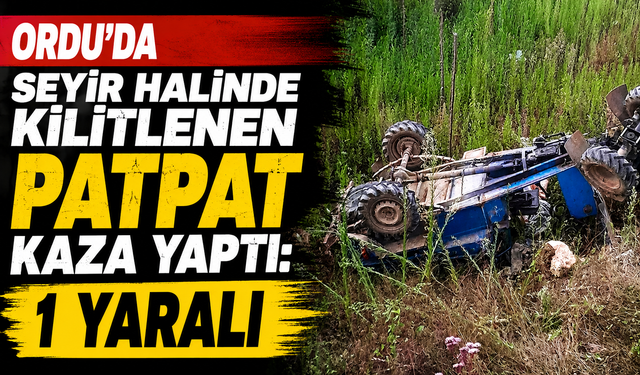 Ordu'da seyir halinde kilitlenen patpat kaza yaptı: 1 yaralı