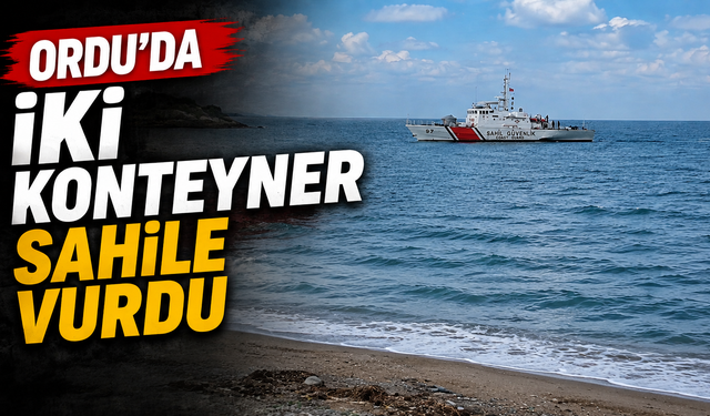 Ordu'da iki konteyner sahile vurdu