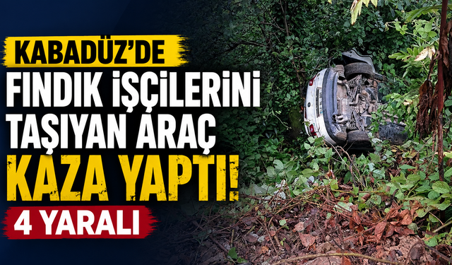 Kabadüz’de fındık işçilerini taşıyan araç kaza yaptı: 4 yaralı