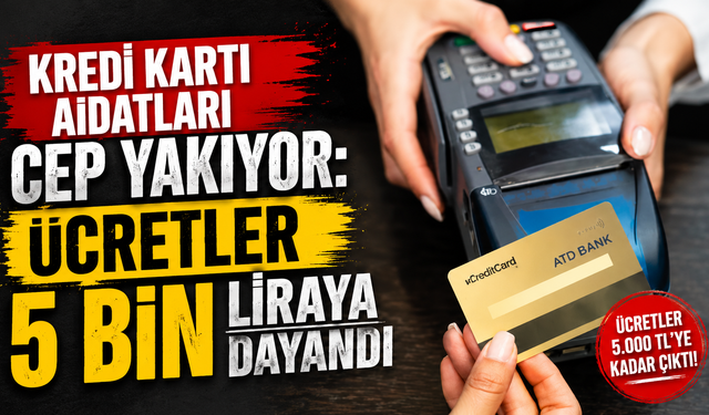 Kredi kartı aidatları cep yakıyor: Ücretler 5 bin liraya dayandı