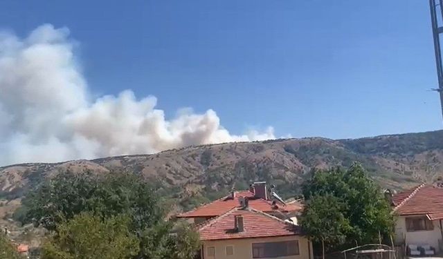 Ankara-Çankırı sınırında orman yangını