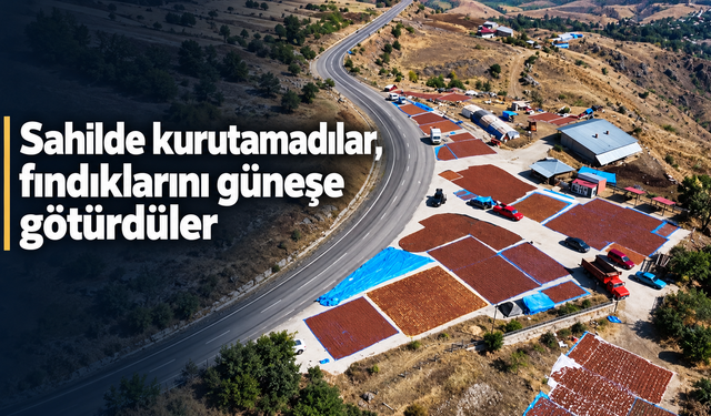 Sahilde kurutamadılar, fındıklarını güneşe götürdüler