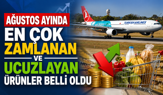 Ağustos ayında en çok zamlanan ve ucuzlayan ürünler belli oldu