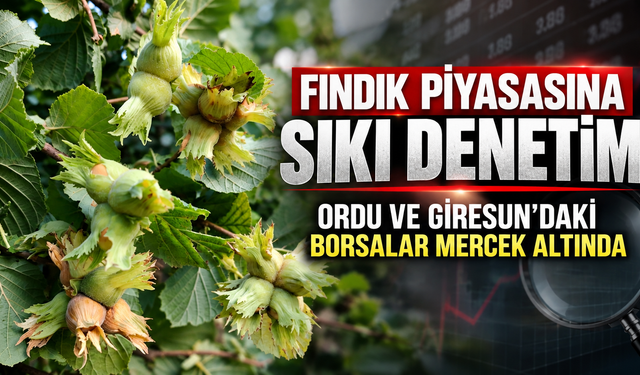 Fındık piyasasına sıkı denetim: Ordu ve Giresun’daki borsalar mercek altında