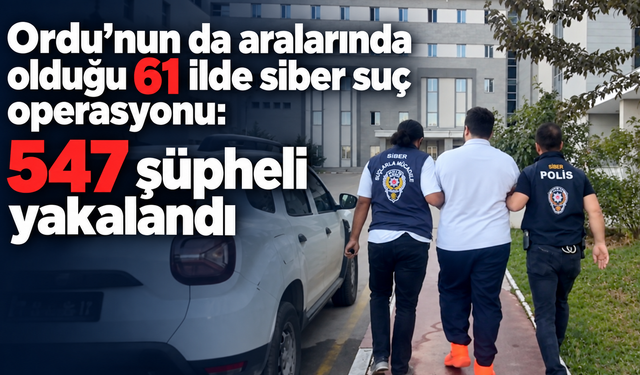 Ordu’nun da aralarında olduğu 61 ilde siber suç operasyonu: 547 şüpheli yakalandı