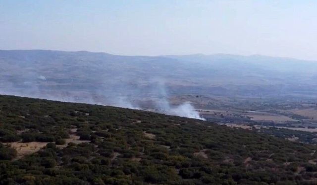 Ankara'da ormanlık alanda çıkan yangın kontrol altına alındı