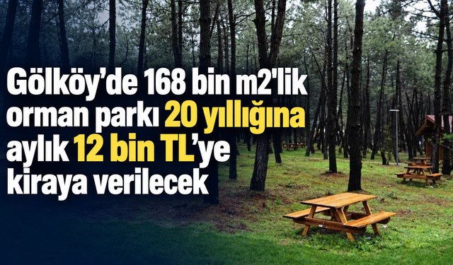 Gölköy'de 168 bin m2'lik orman parkı 20 yıllığına aylık 12 bin TL'ye kiraya verilecek