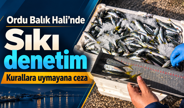 Ordu Balık Hali’nde sıkı denetim: Kurallara uymayana cez