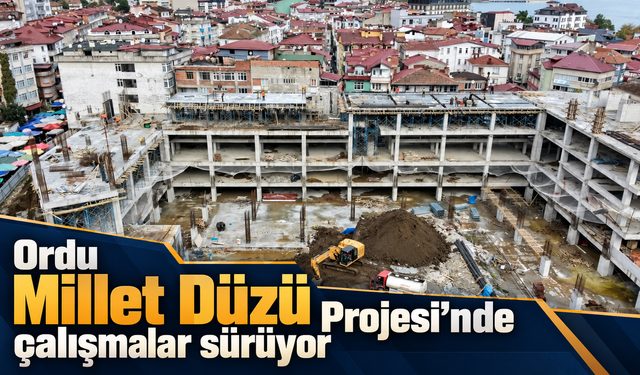 Ordu Millet Düzü Projesi’nde çalışmalar sürüyor