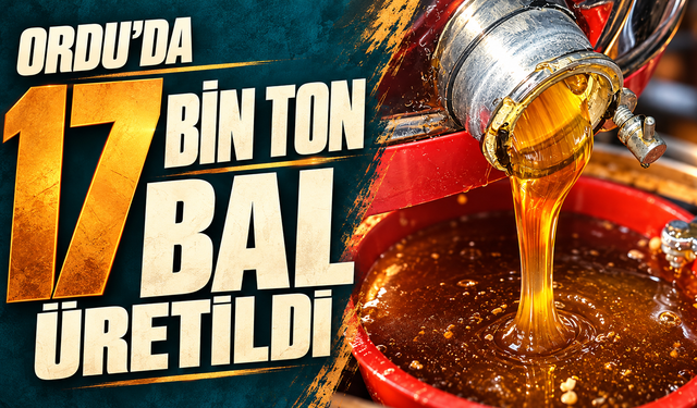 Ordu'da 17 bin ton bal üretildi