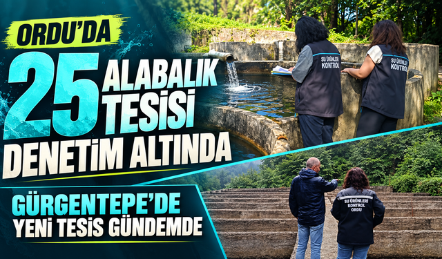 Ordu’da 25 alabalık tesisi denetim altında: Gürgentepe’de yeni tesis gündemde