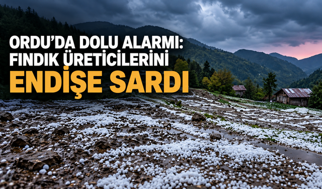 Ordu’da dolu alarmı: Fındık üreticilerini endişe sardı