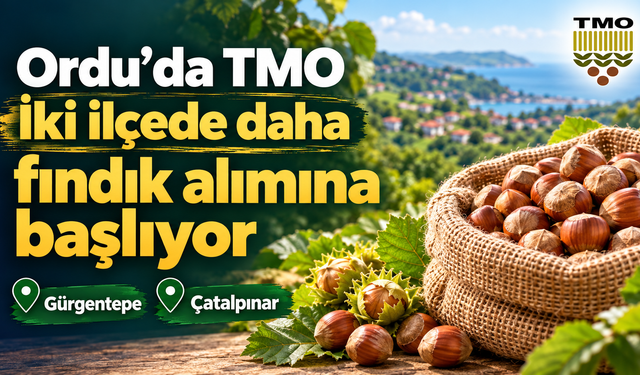 Ordu’da TMO iki ilçede daha fındık alımına başlıyor