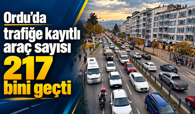 Ordu’da trafiğe kayıtlı araç sayısı 217 bini geçti