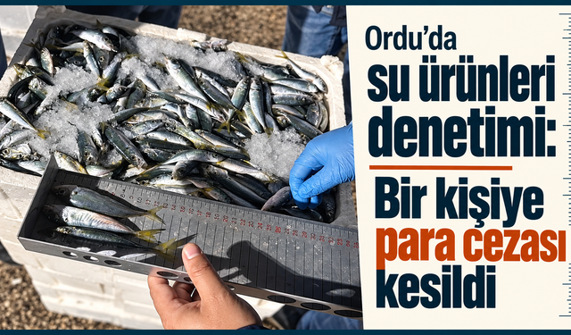 Ordu’da su ürünleri denetimi: Bir kişiye para cezası kesildi