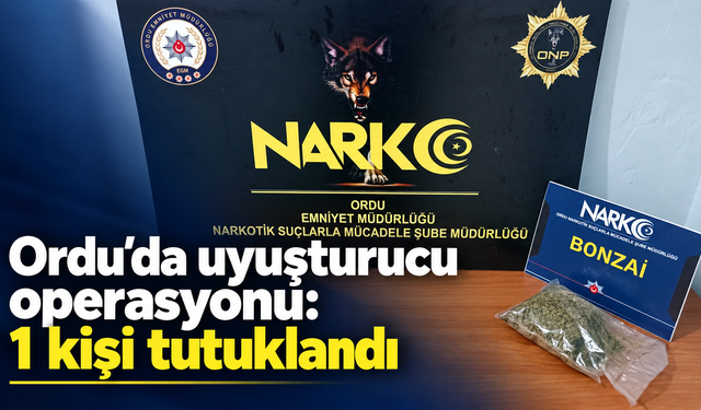 Ordu’da uyuşturucu operasyonu: 1 kişi tutuklandı
