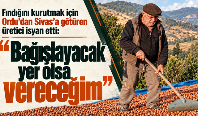 Fındığını kurutmak için Ordu'dan Sivas'a götüren üretici isyan etti: “Bağışlayacak yer olsa vereceğim”