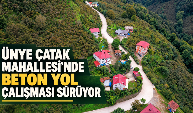 Ünye Çatak Mahallesi'nde beton yol çalışması sürüyor