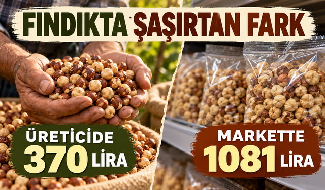 Fındıkta şaşırtan fark: Üreticide 370, markette 1081 lira