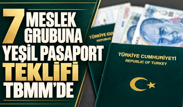 7 meslek grubuna yeşil pasaport teklifi TBMM’de