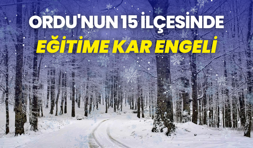 Ordu'nun 15 ilçesinde eğitime kar engeli