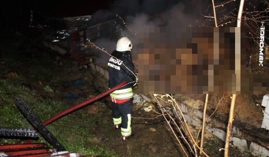Ordu'da ahır yangını: 27 büyükbaş hayvan telef oldu