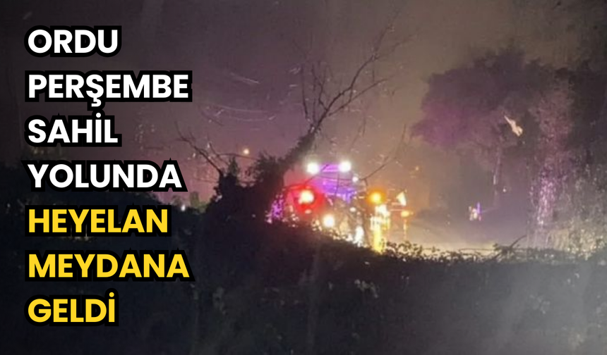 Ordu Perşembe sahil yolunda heyelan meydana geldi