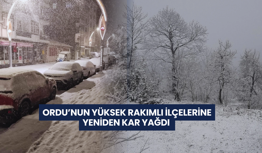 Ordu'nun yüksek rakımlı ilçelerinde kar yağışı etkili oldu