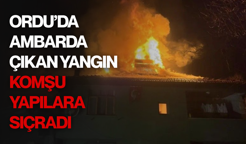 Ordu’da ambarda çıkan yangın komşu yapılara sıçradı