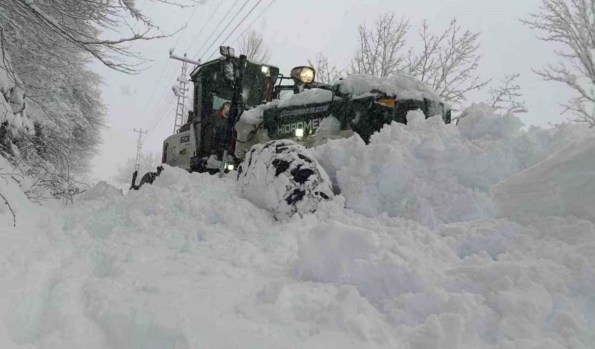 Ordu'nun yükseklerinde kar kalınlığı 2 metreye ulaştı