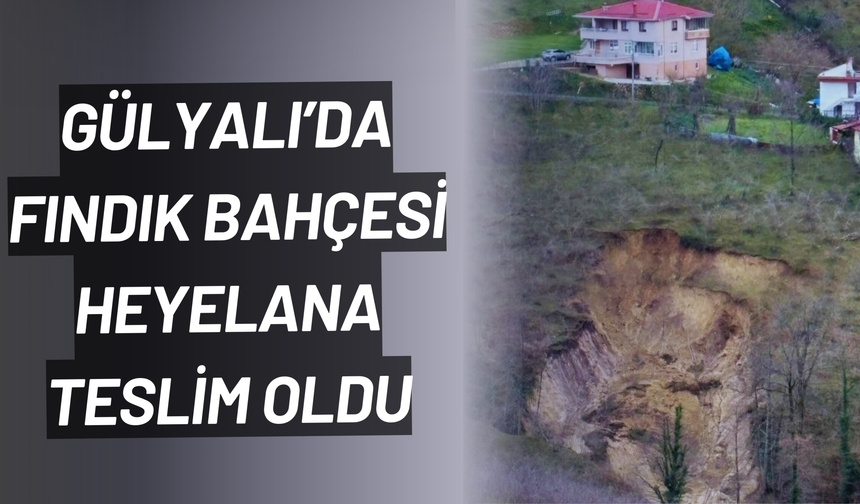 Ordu’da bir heyelan daha: GülyalI'da fındık bahçesi toprak altında kaldı