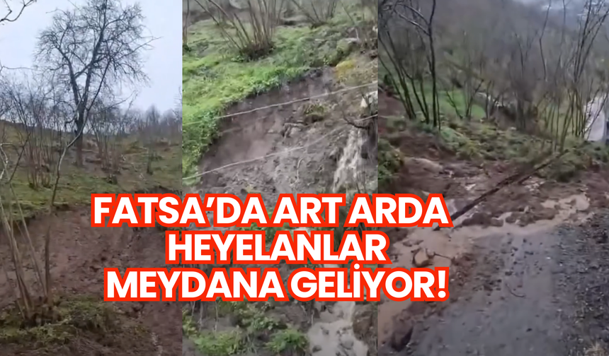 Ordu’da heyelanlar sürüyor: Suya doyan topraklar art arda kayıyor!