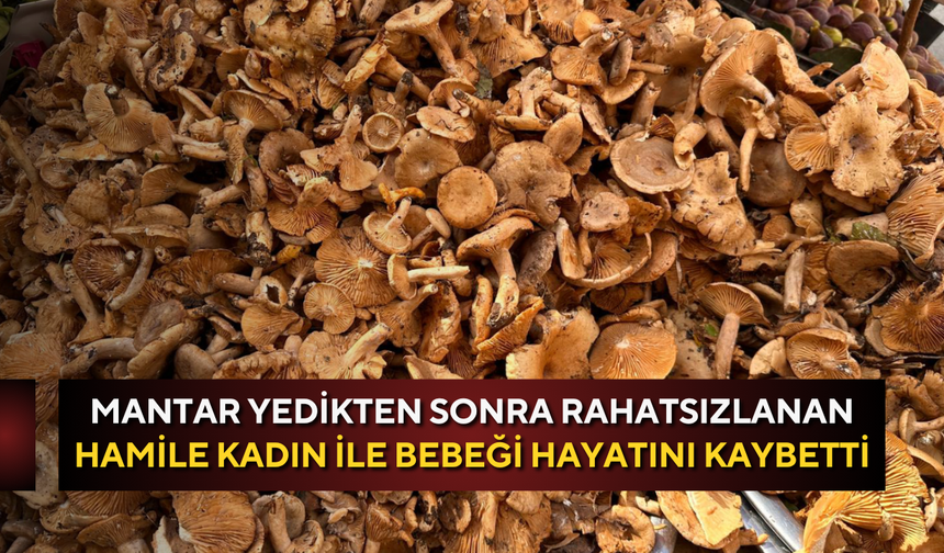 Mantar yedikten sonra rahatsızlanan hamile kadın ile bebeği hayatını kaybetti