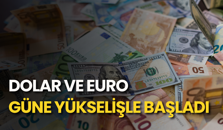 Dolar ve euro güne yükselişle başladı