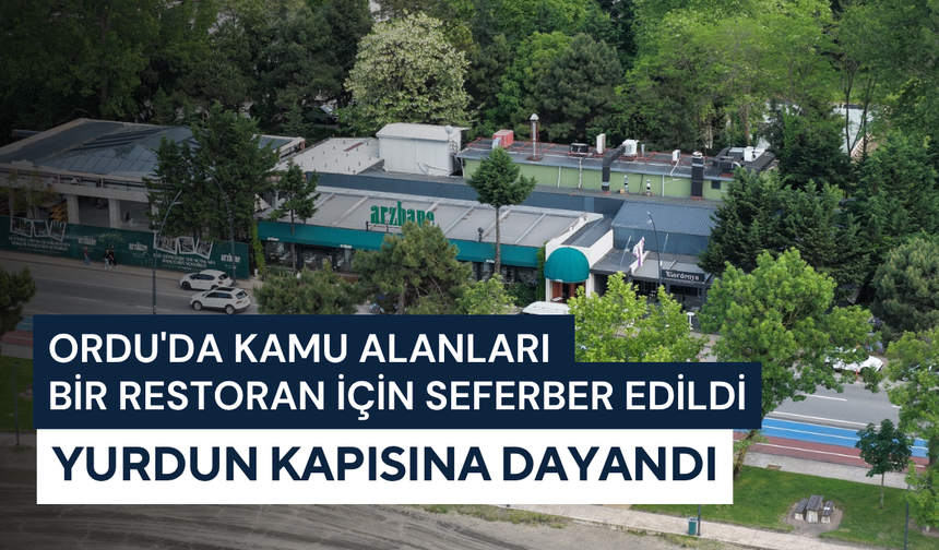 Ordu'da kamu alanları bir restoran için seferber edildi: Yurdun kapısına dayandı